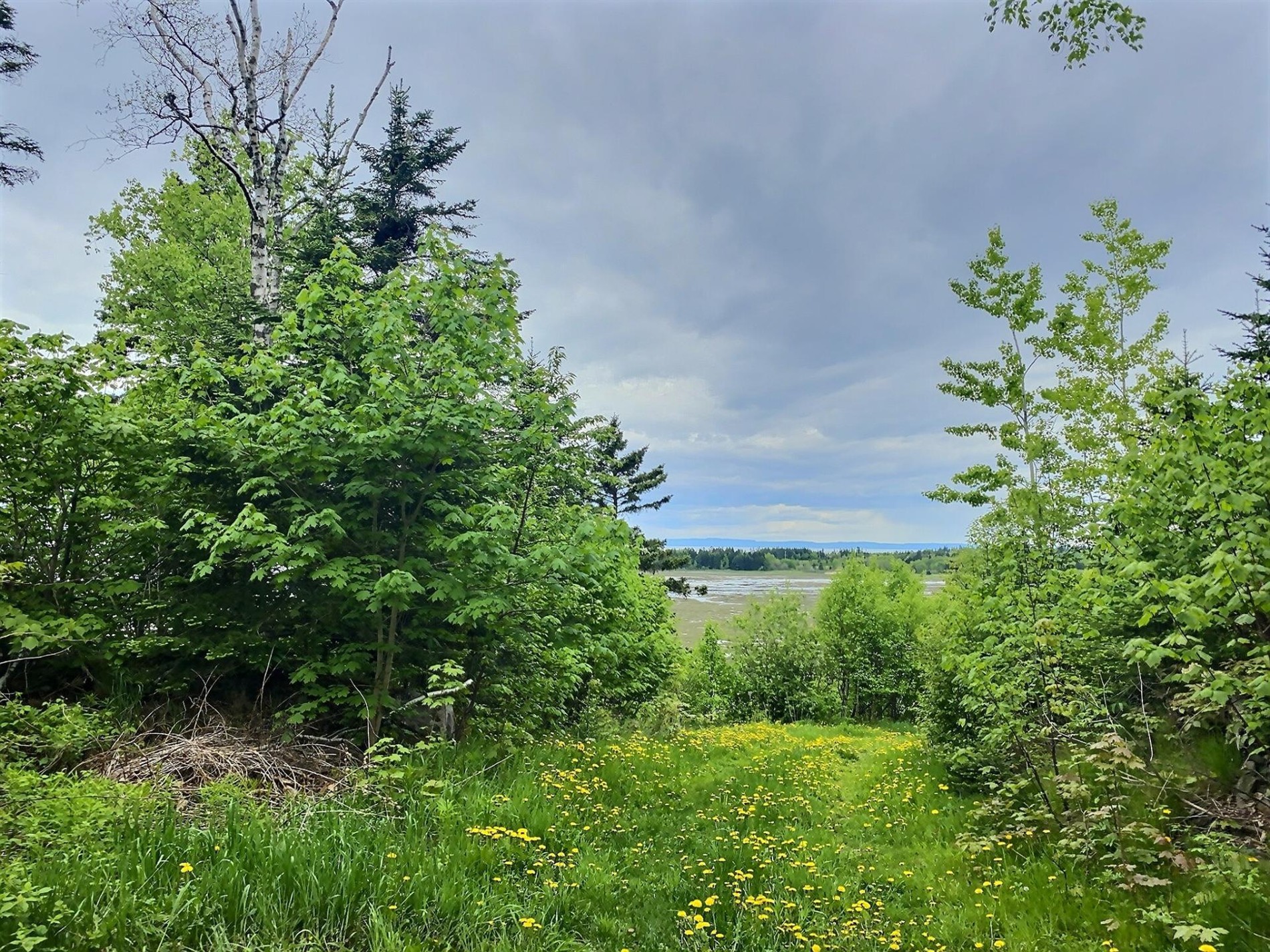 184 Route de l'Anse-au-Persil — photo 1