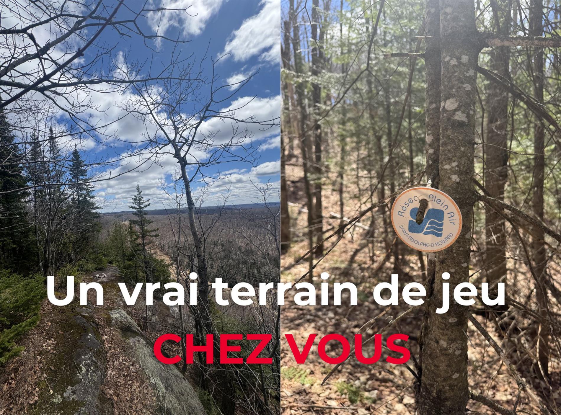 Ch. des Lacs-Boisés — photo 3