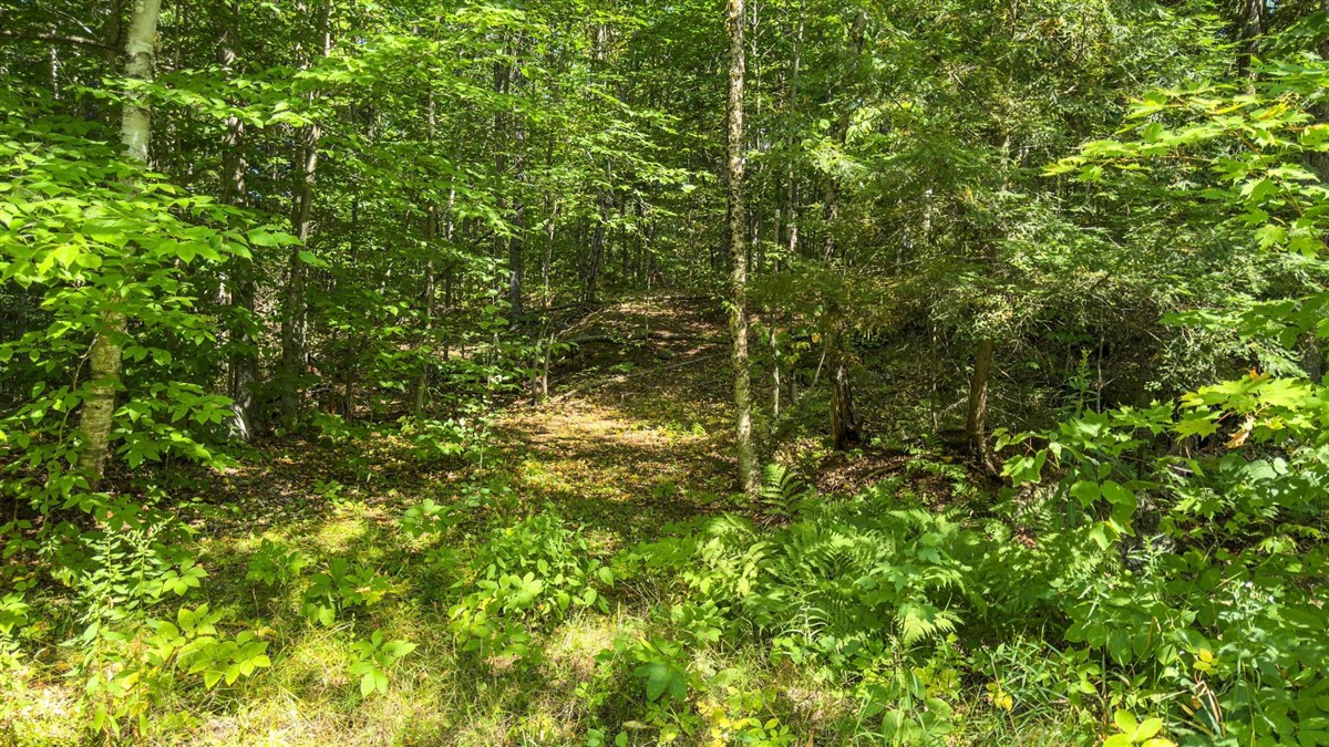 Photo 30