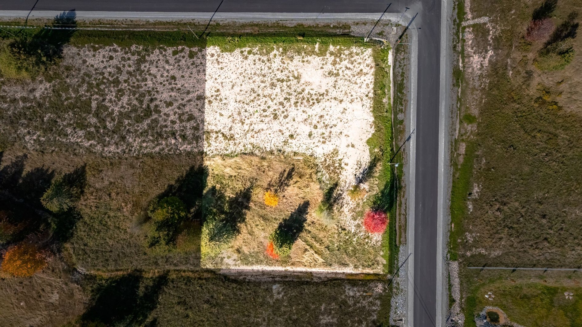 Rue Étienne-Desmarteau — photo 2