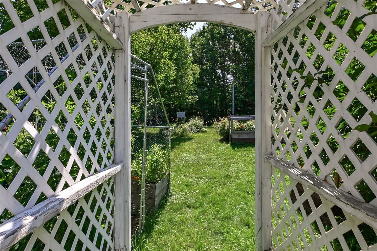 Photo 45