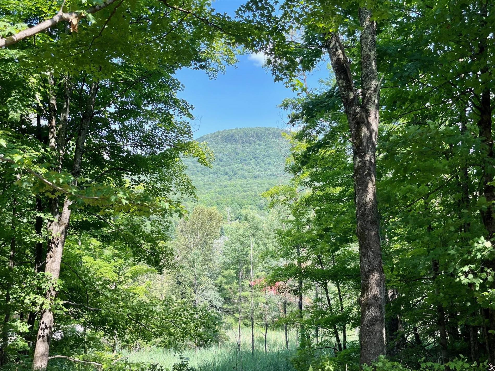 Ch. Mountain — photo 1