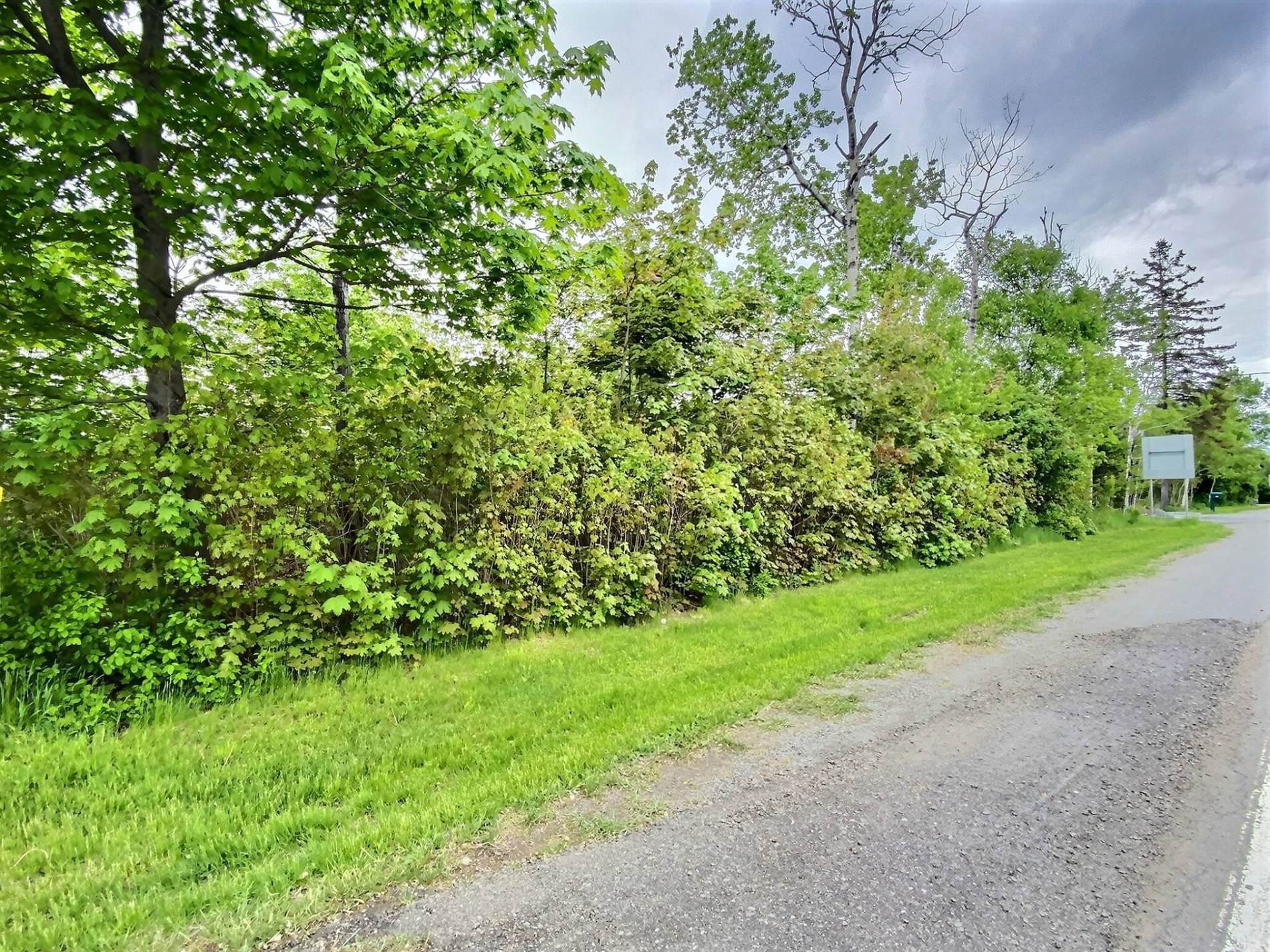 184 Route de l'Anse-au-Persil — photo 3