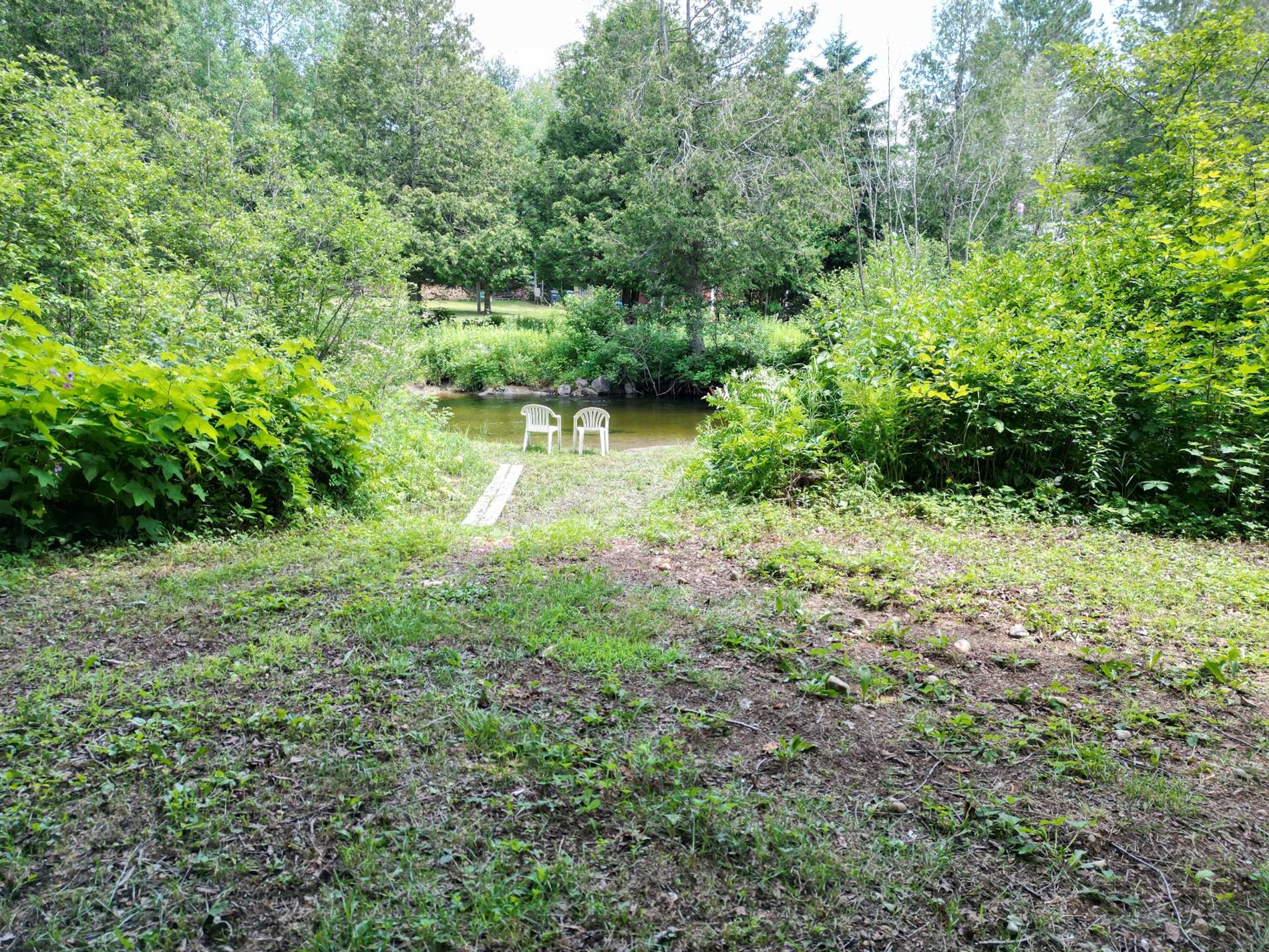 Ch. Roy — photo 3
