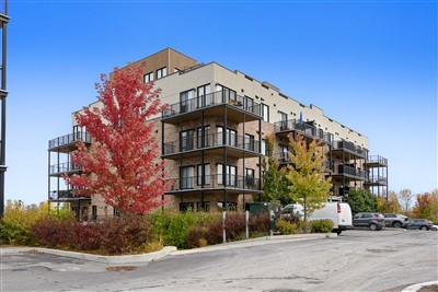 Apartment / Condo - Gatineau (Aylmer)