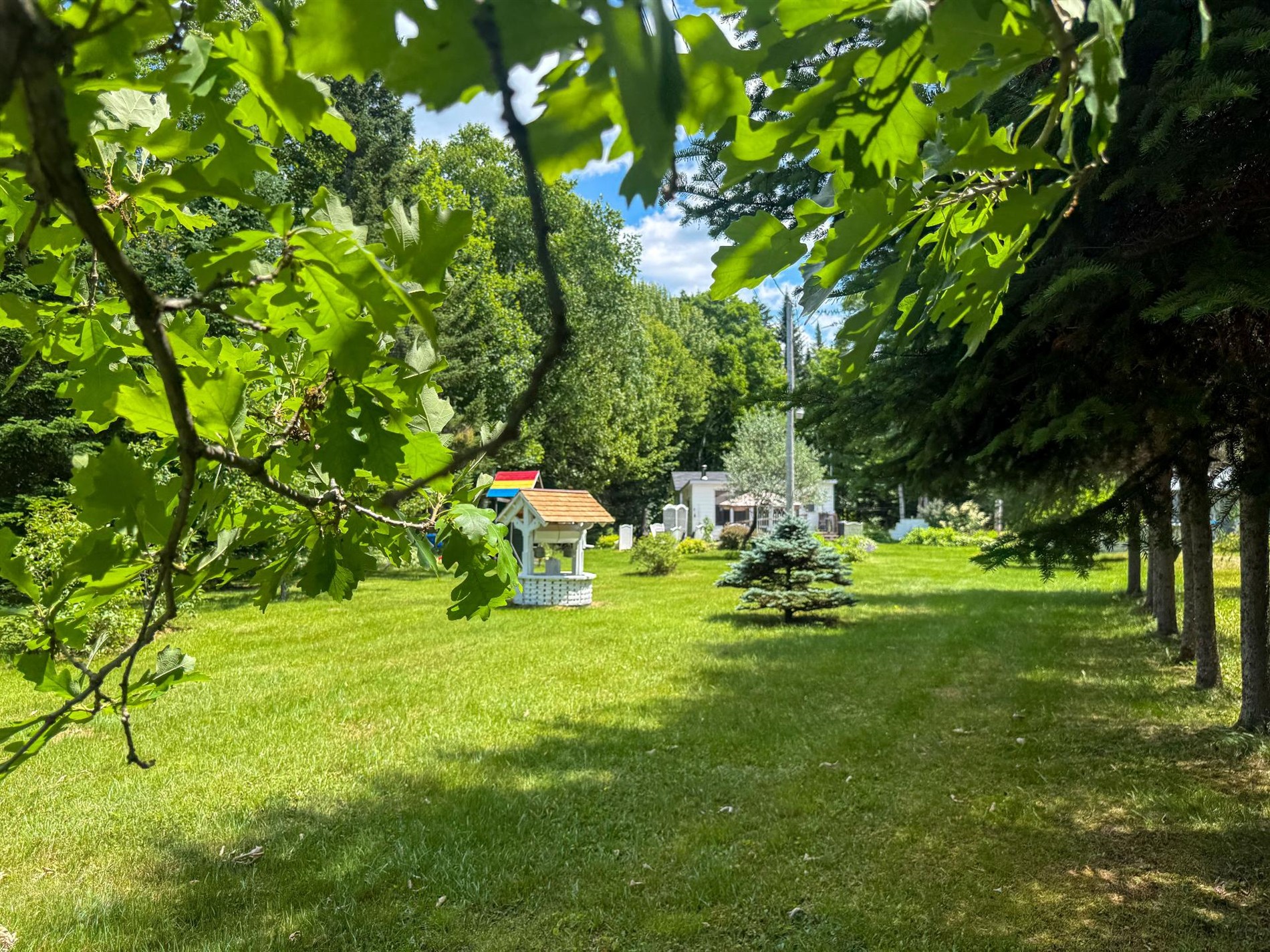 1011 Route du Golf — photo 3