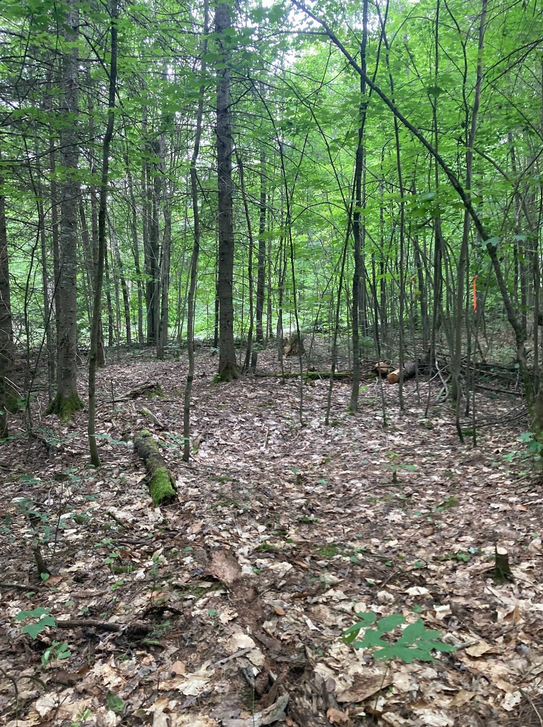 Ch. du Lac-de-l'Écluse — photo 2