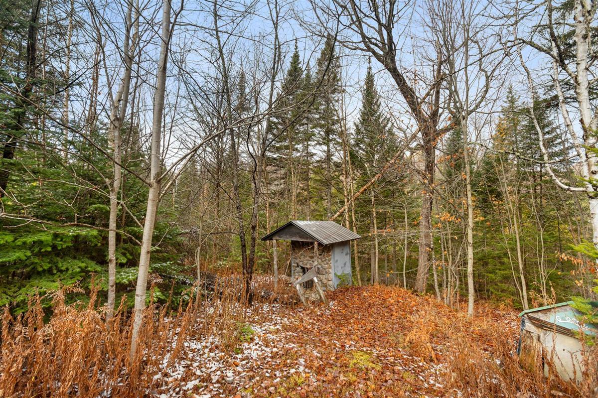 Vue 38 de la propriété réf. 19583779 – 720 Rue du Hibou-Blanc J8B 3J1